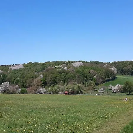 Fleurie De Montagne ميشيلين