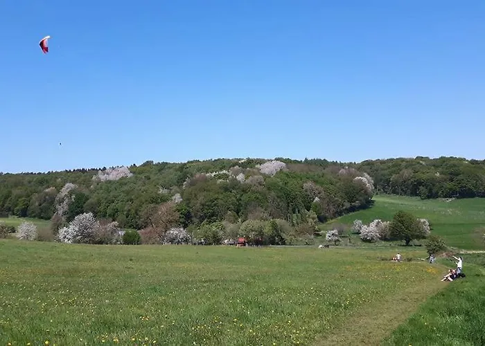 Fleurie De Montagne Mechelen