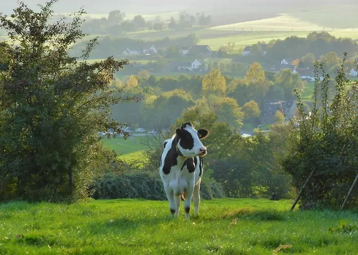 Fleurie De Montagne Hotel Mechelen